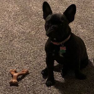 Meet your Posher, Jacob